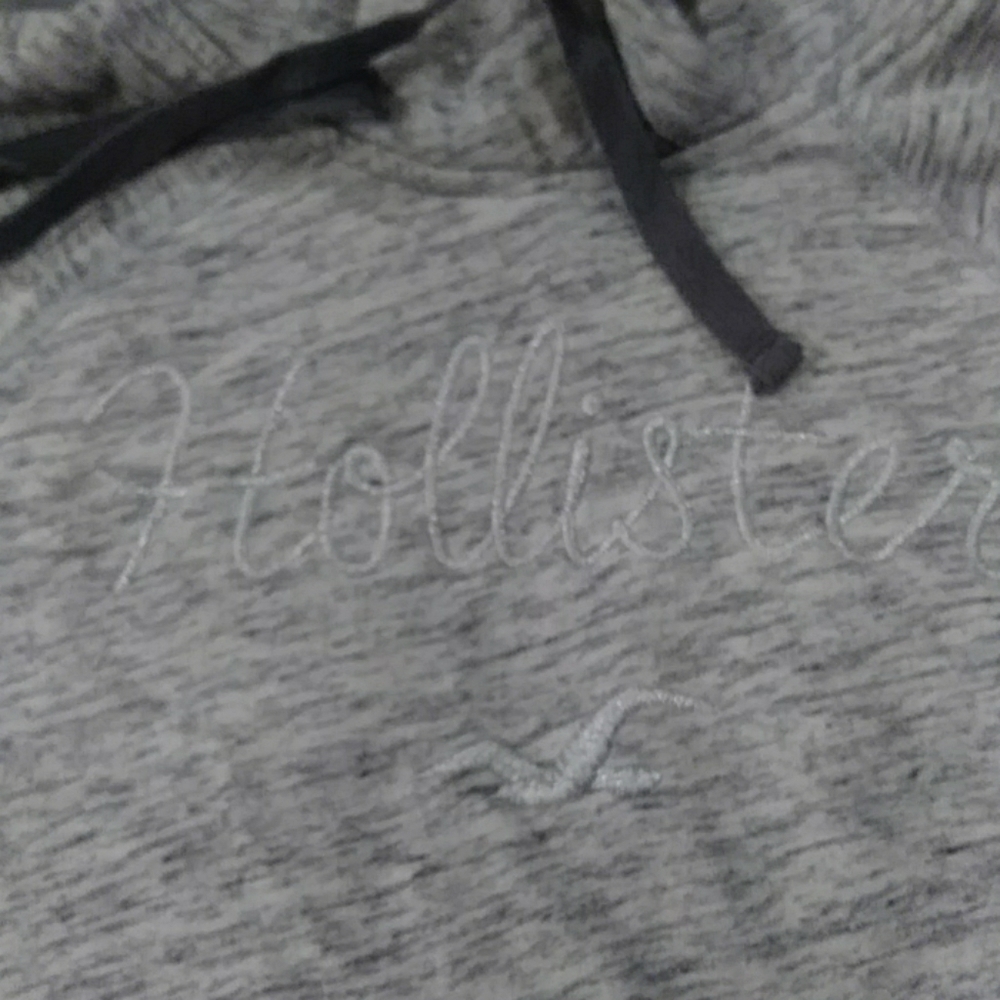 Hollister Hooded
